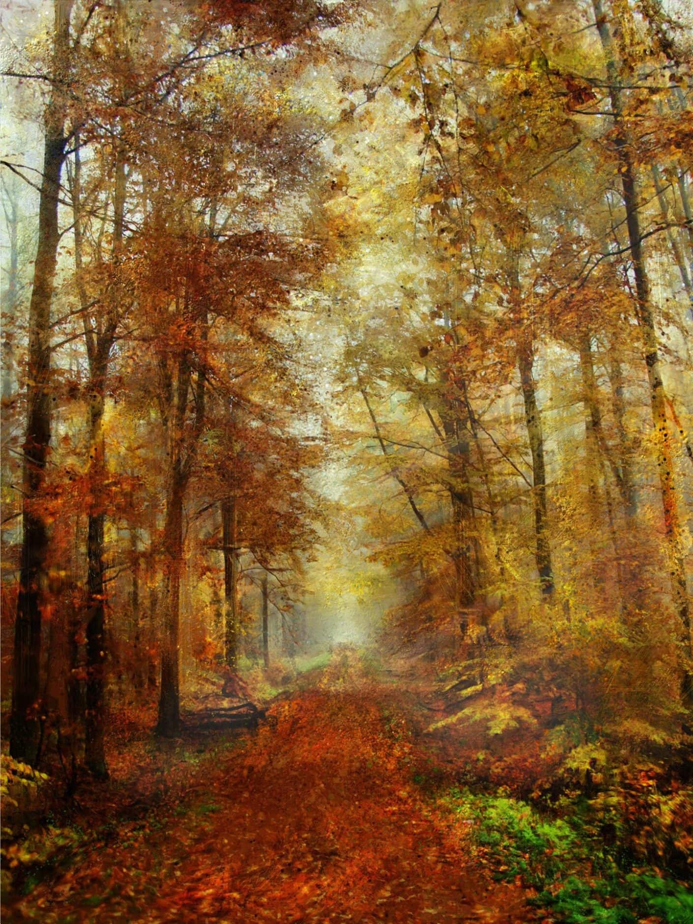 AUTUMN FOREST PATH - Corel Discovery Center