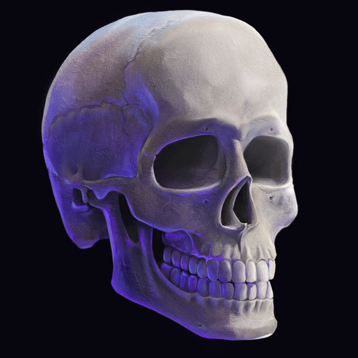 The back part of the reference skull is cut away.