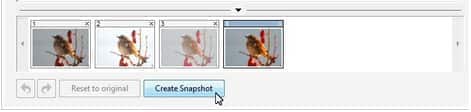 Working With RAW Files And Snapshots - Corel Discovery Center