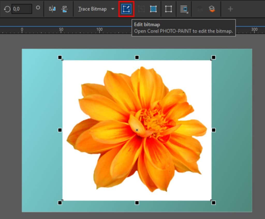 Removing backgrounds from images in CorelDRAW and PHOTOPAINT Corel