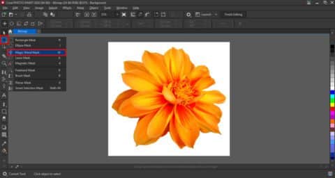 Removing backgrounds from images in CorelDRAW and PHOTO-PAINT - Corel ...