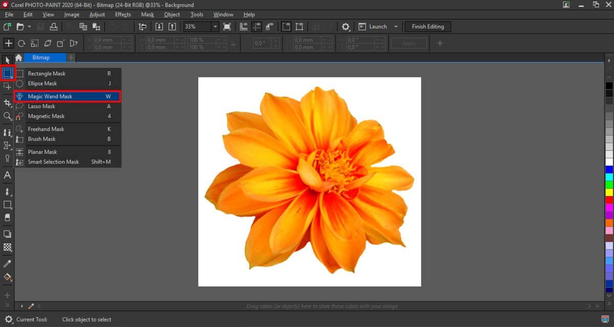 Removing backgrounds from images in CorelDRAW and PHOTOPAINT Corel