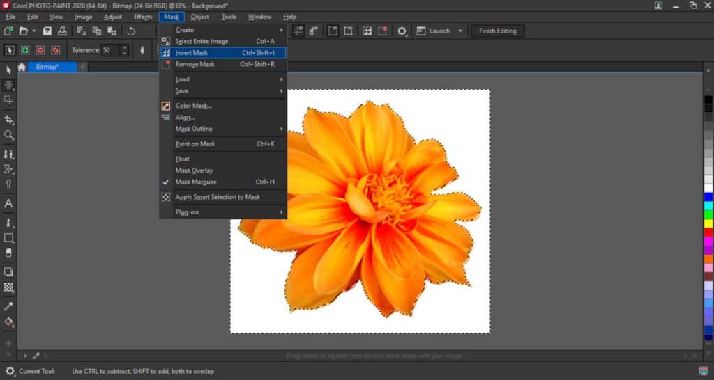 Removing backgrounds from images in CorelDRAW and PHOTOPAINT Corel