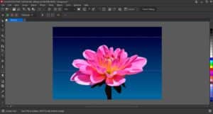 Removing Backgrounds from Images in CorelDRAW and PHOTO-PAINT - Corel  Discovery Center