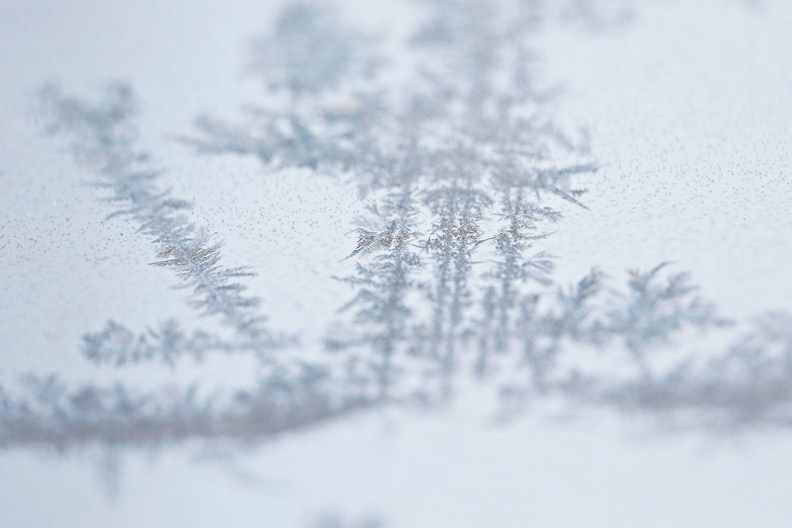 Frost on my car windshield in Ottawa January 14, 2015. Photo by Blair Gable