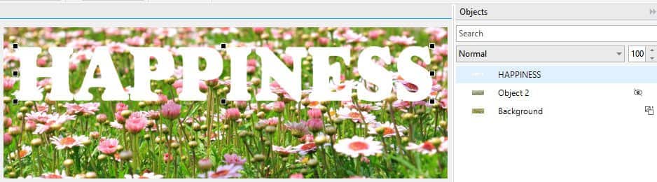 Using the Transparency Tool in PHOTO-PAINT - Corel Discovery Center
