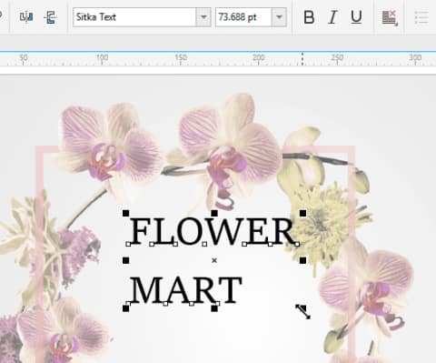 Overview Of The Text Tool - Corel Discovery Center