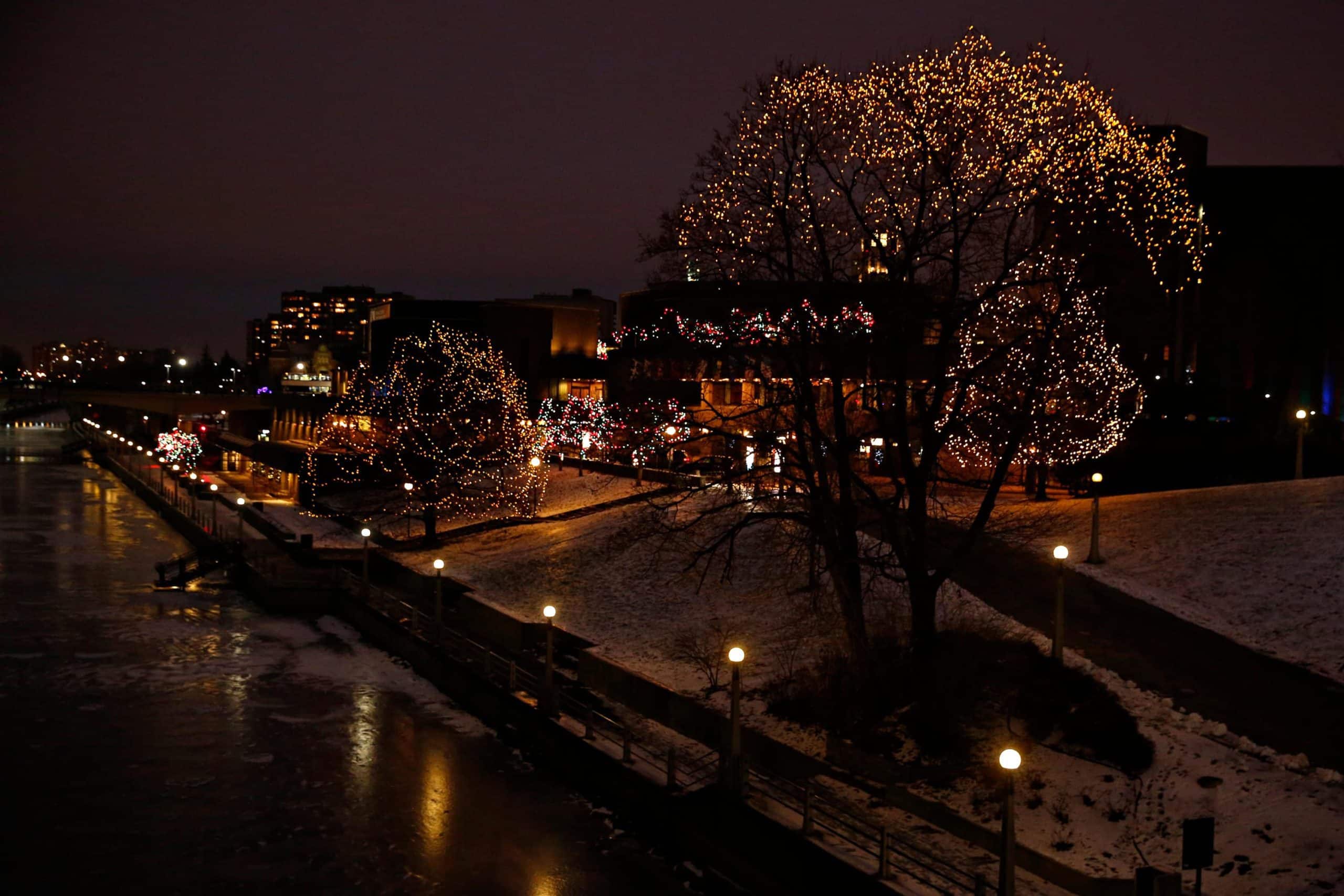 Christmas lights in downtown Ottawa December 9, 2014. Photo by Blair Gable