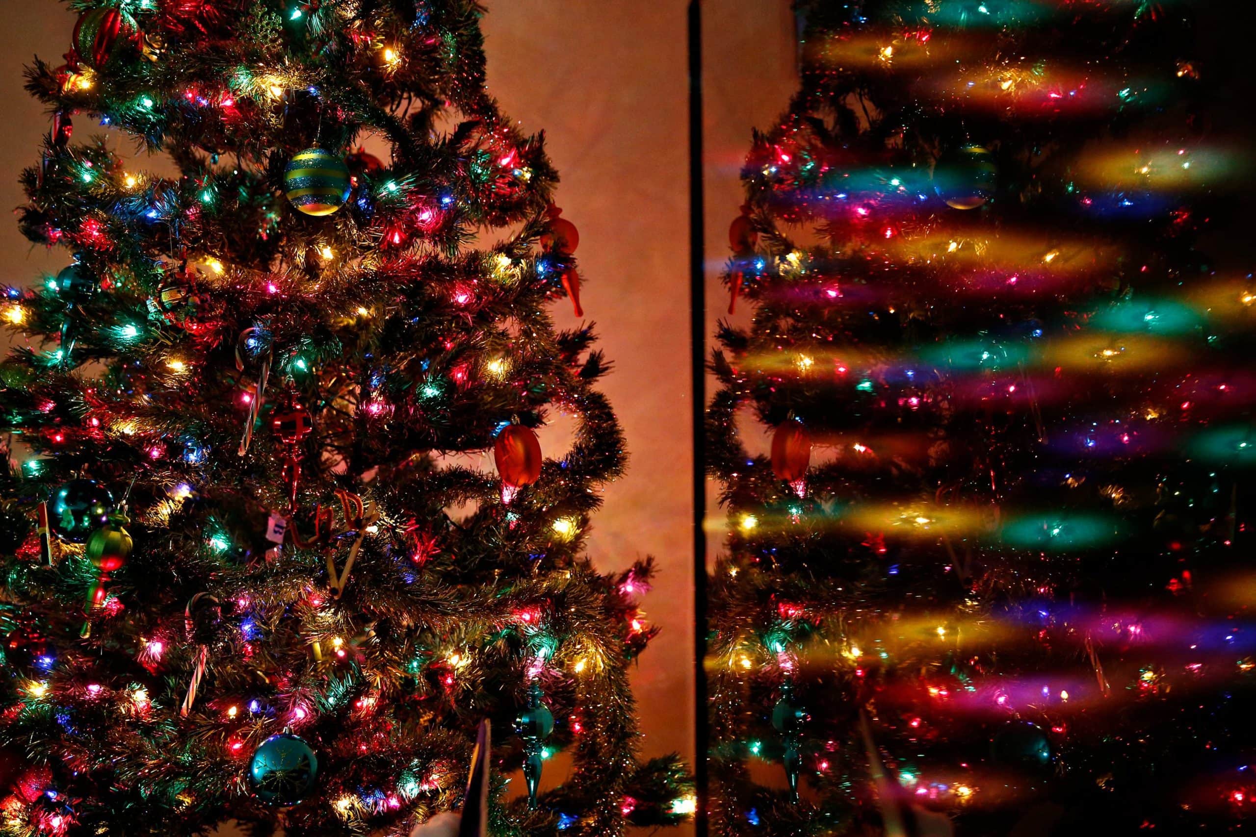 Christmas Tree lights wide aperture