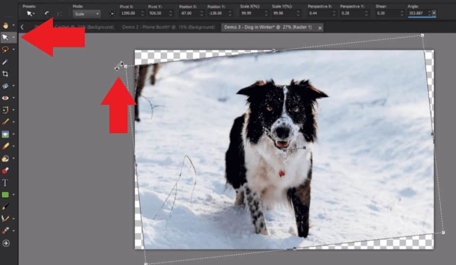 How to straighten a photo - Corel Discovery Center