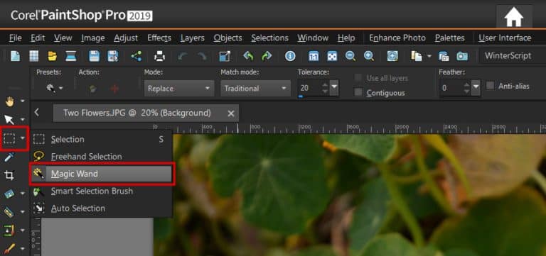 How To Use The Magic Wand Selection Tool - Corel Discovery Center