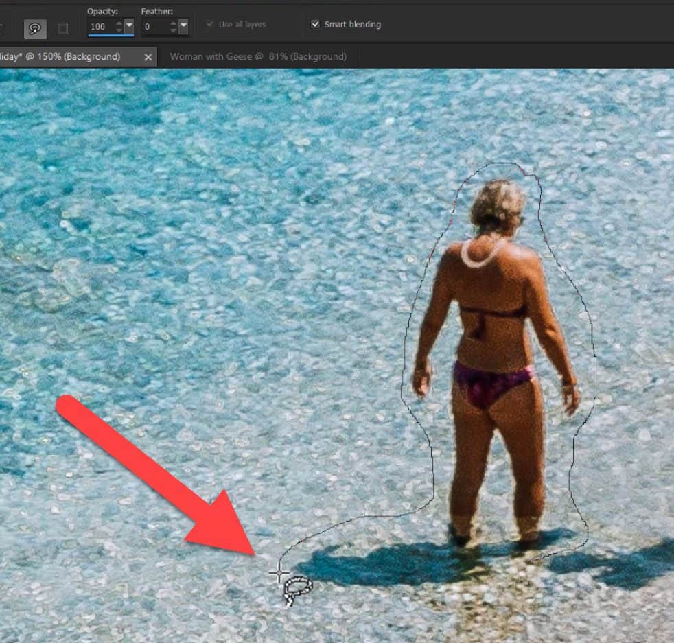 How to Use the Object Remover in Pro Corel Discovery Center