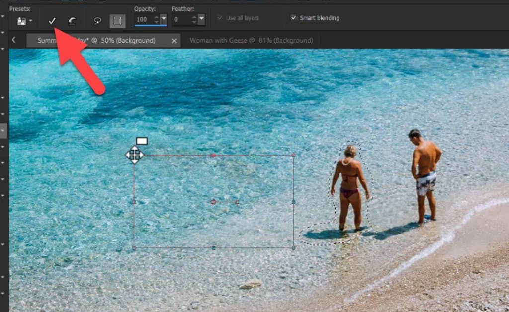 How to Use the Object Remover in Pro Corel Discovery Center