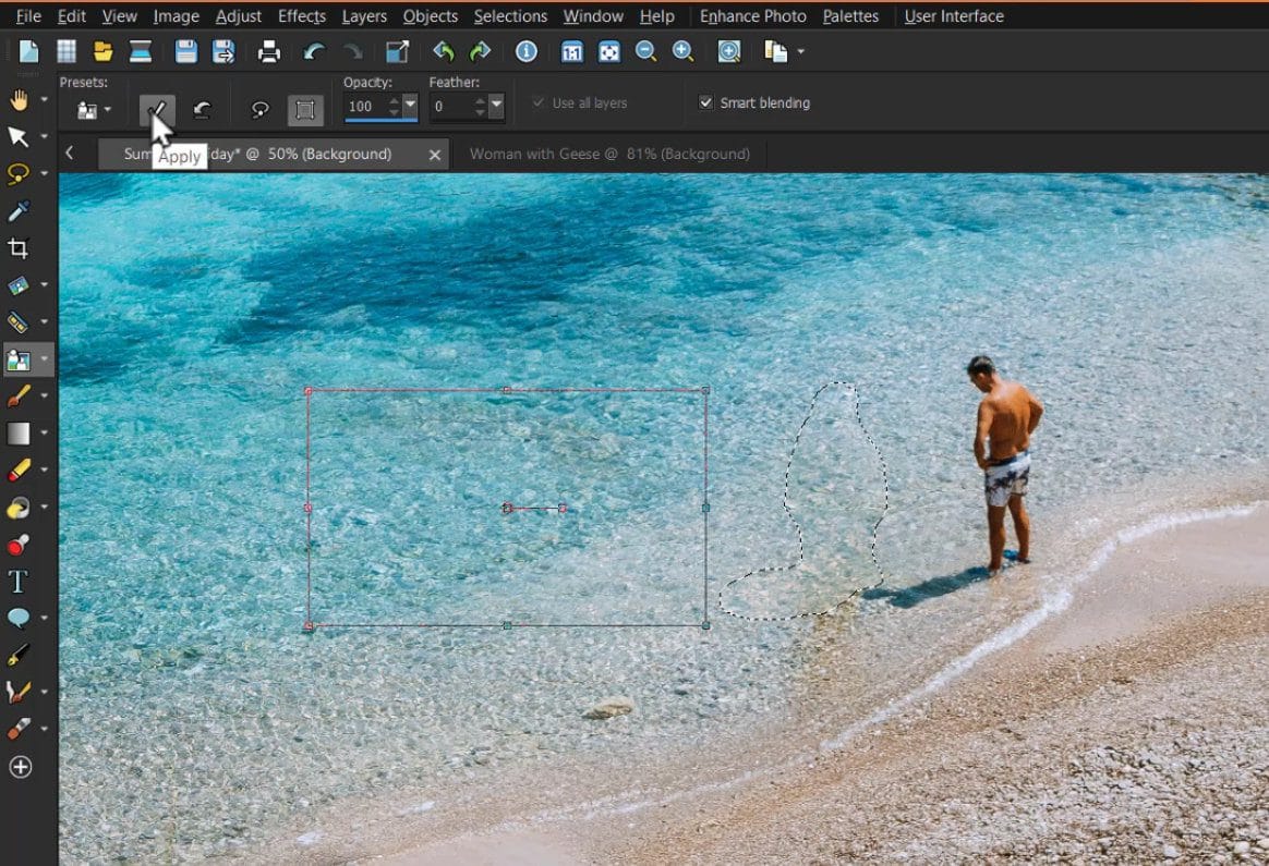 How to Use the Object Remover in Pro Corel Discovery Center