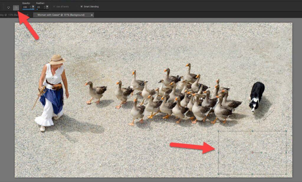 How to Use the Object Remover in Pro Corel Discovery Center