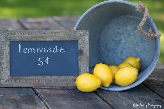 Using natural light for still photography - Corel Discovery Center