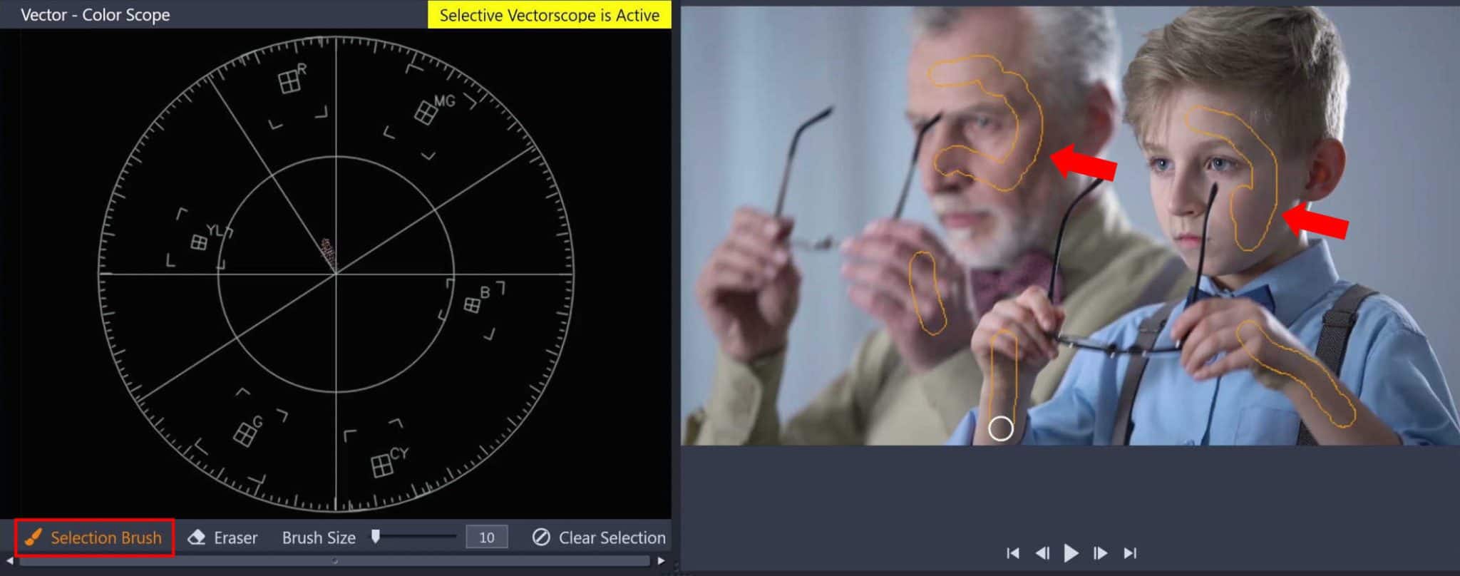 How to use the Selective Vectorscope - Corel Discovery Center