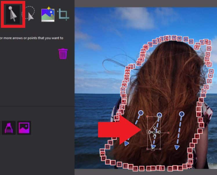 How to Make a Back and Forth Animation Corel Discovery Center