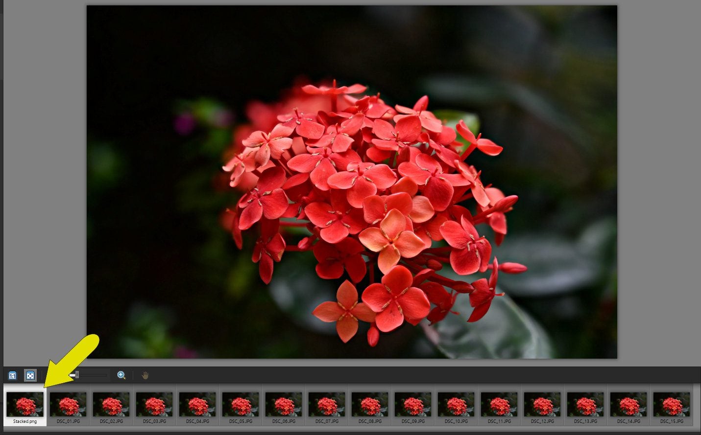 How to use Focus Stacking Corel Discovery Center